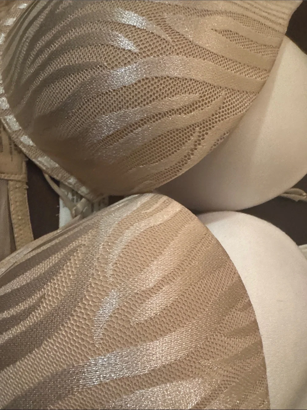 Daisy Fuentes 2 -Beige/white Zebra-Print Push-Up Bras 38 C